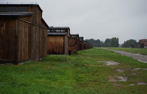 05_DSC01098